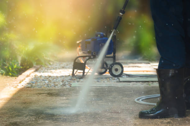 Best Spring Cleaning  in Wilton, IA